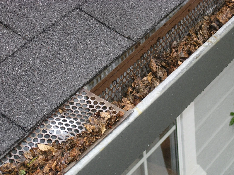 Gutter with a perforated leaf guard filled with dry leaves, indicating a need for cleaning or better protection