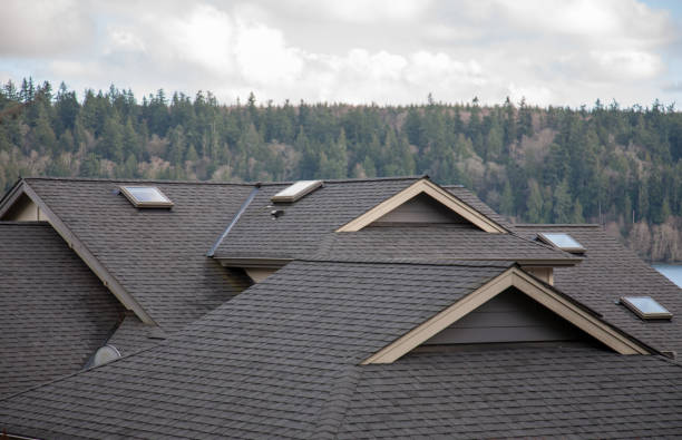 Skylight Replacement Service — Multiple skylights on a dark shingle roof with trees in the background